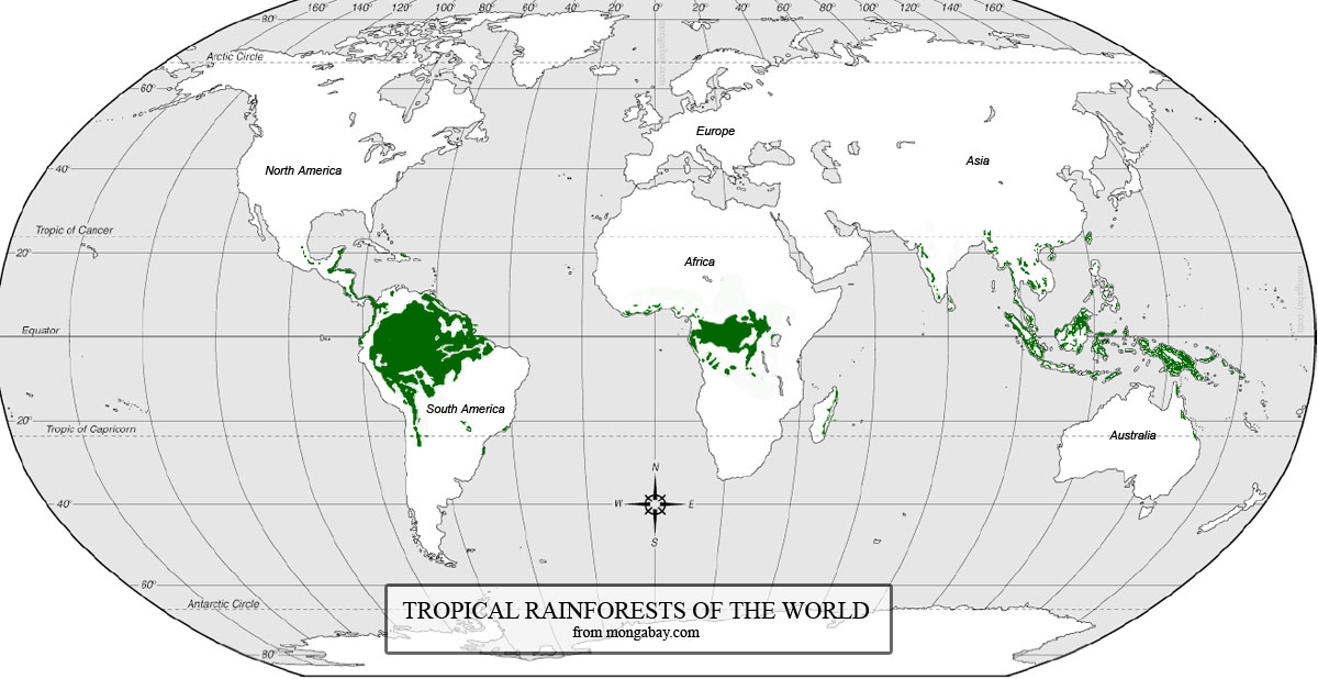 tropical rainforest map